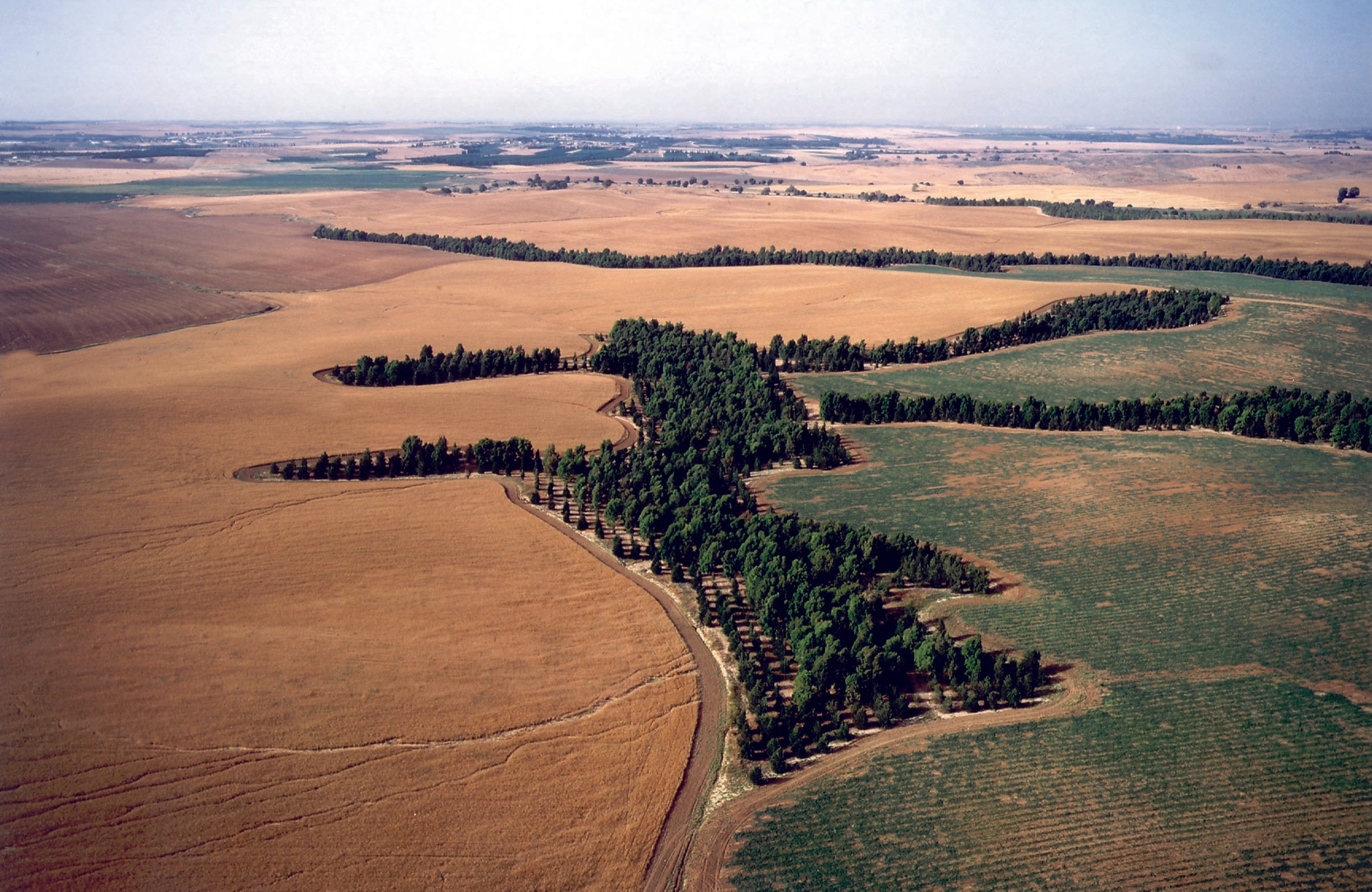 Gardening and Farming Like Israel