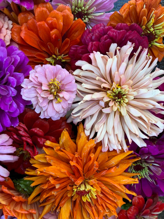 Medium Sized Bouquet