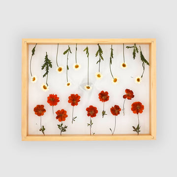 Large Pressed Flower Frame (Style 3)