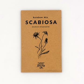 Scabiosa Seed Packet