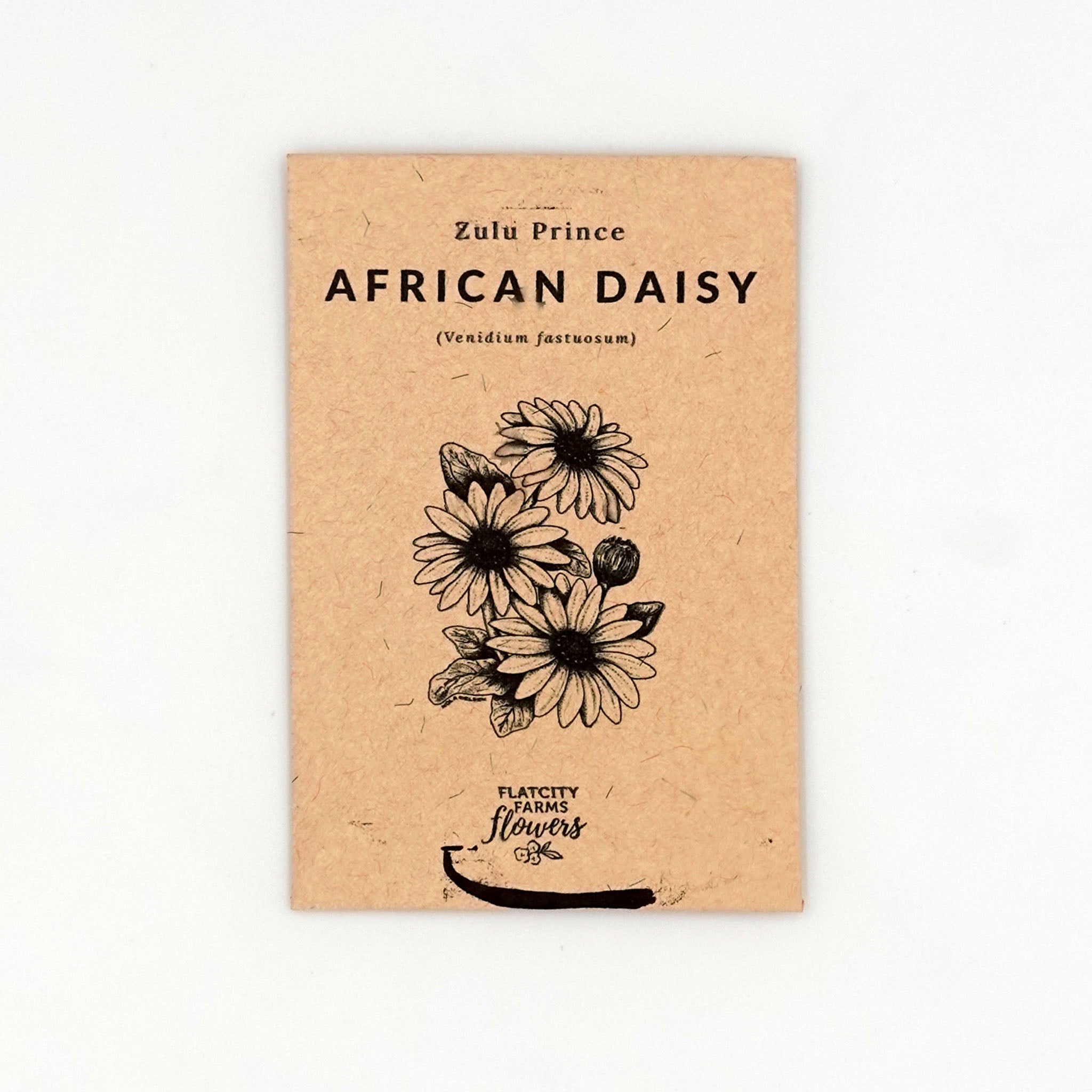 African Daisy Seed Packet