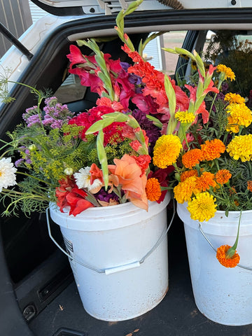 5 Gallon Bucket of Flowers