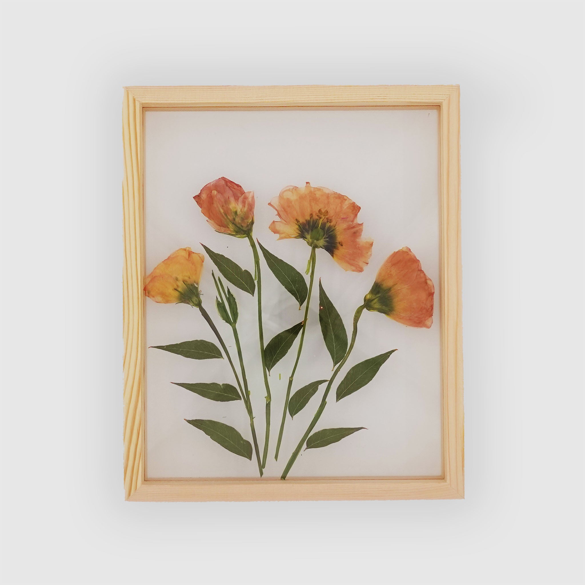 Pressed Flower Frame (Style 3)